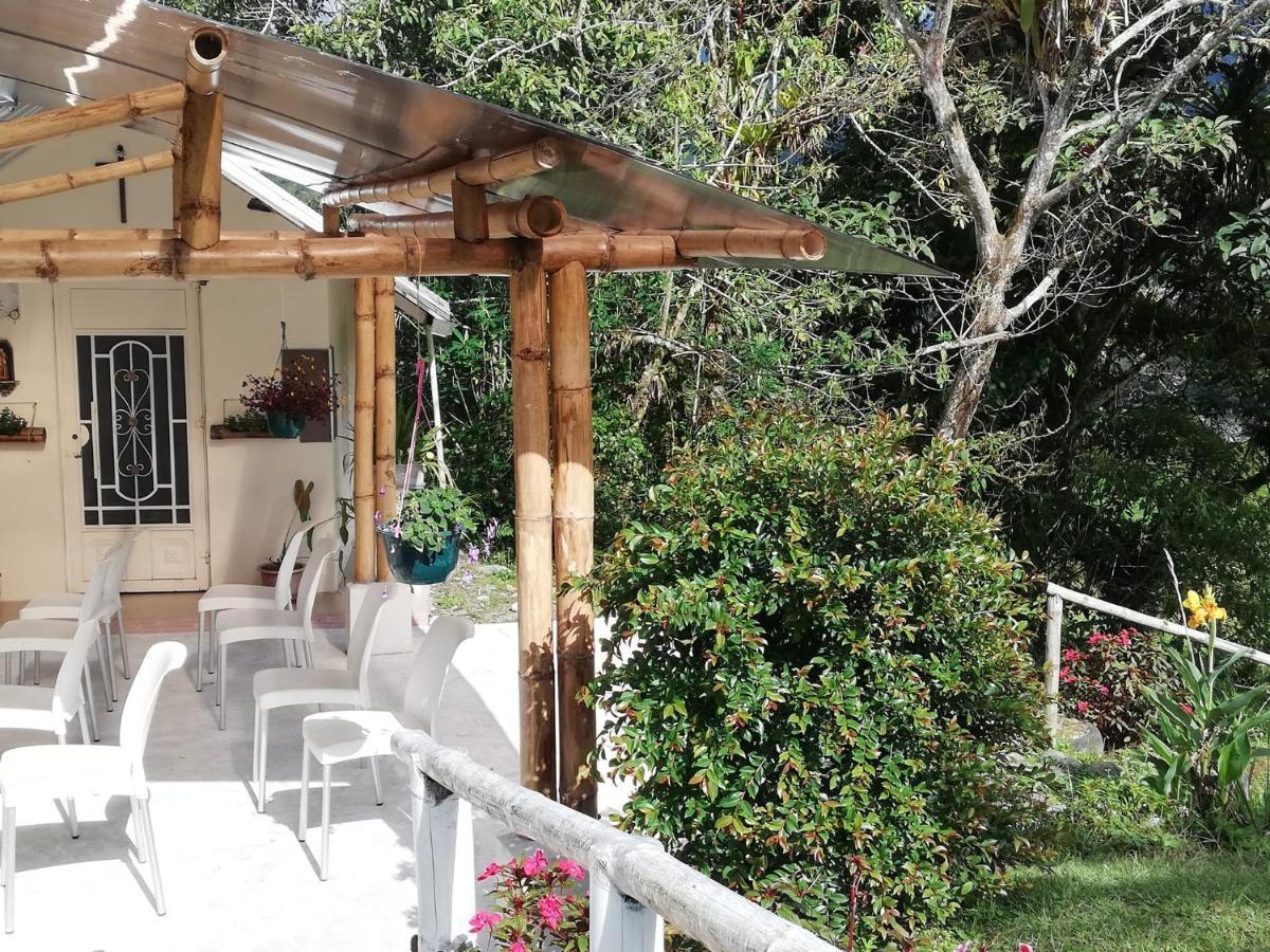 Green Bamboo Lodge San Francisco de Borja Exterior foto
