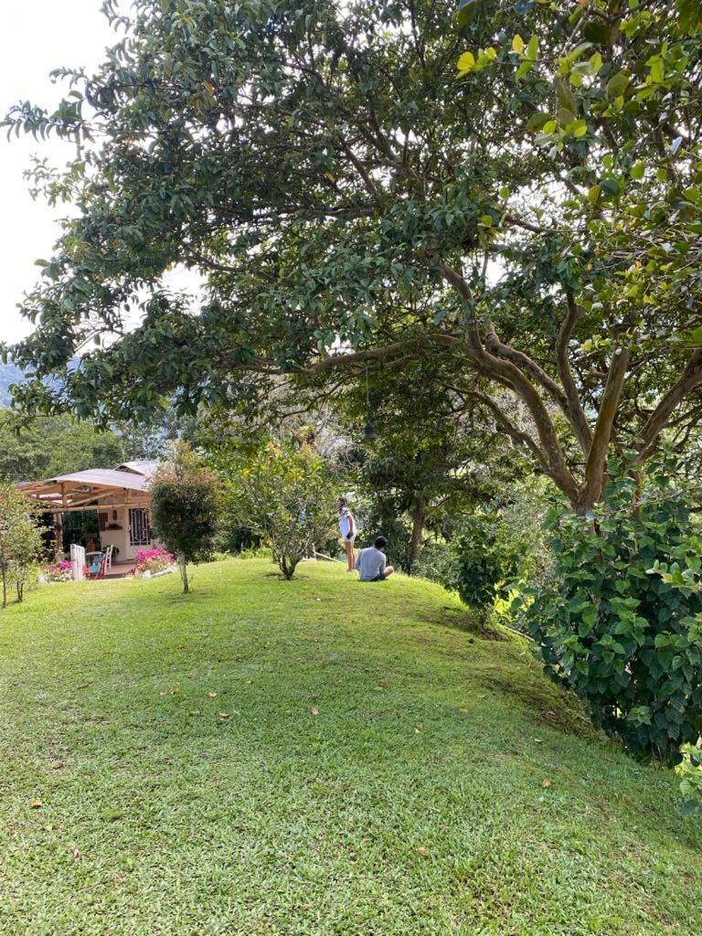 Green Bamboo Lodge San Francisco de Borja Exterior foto