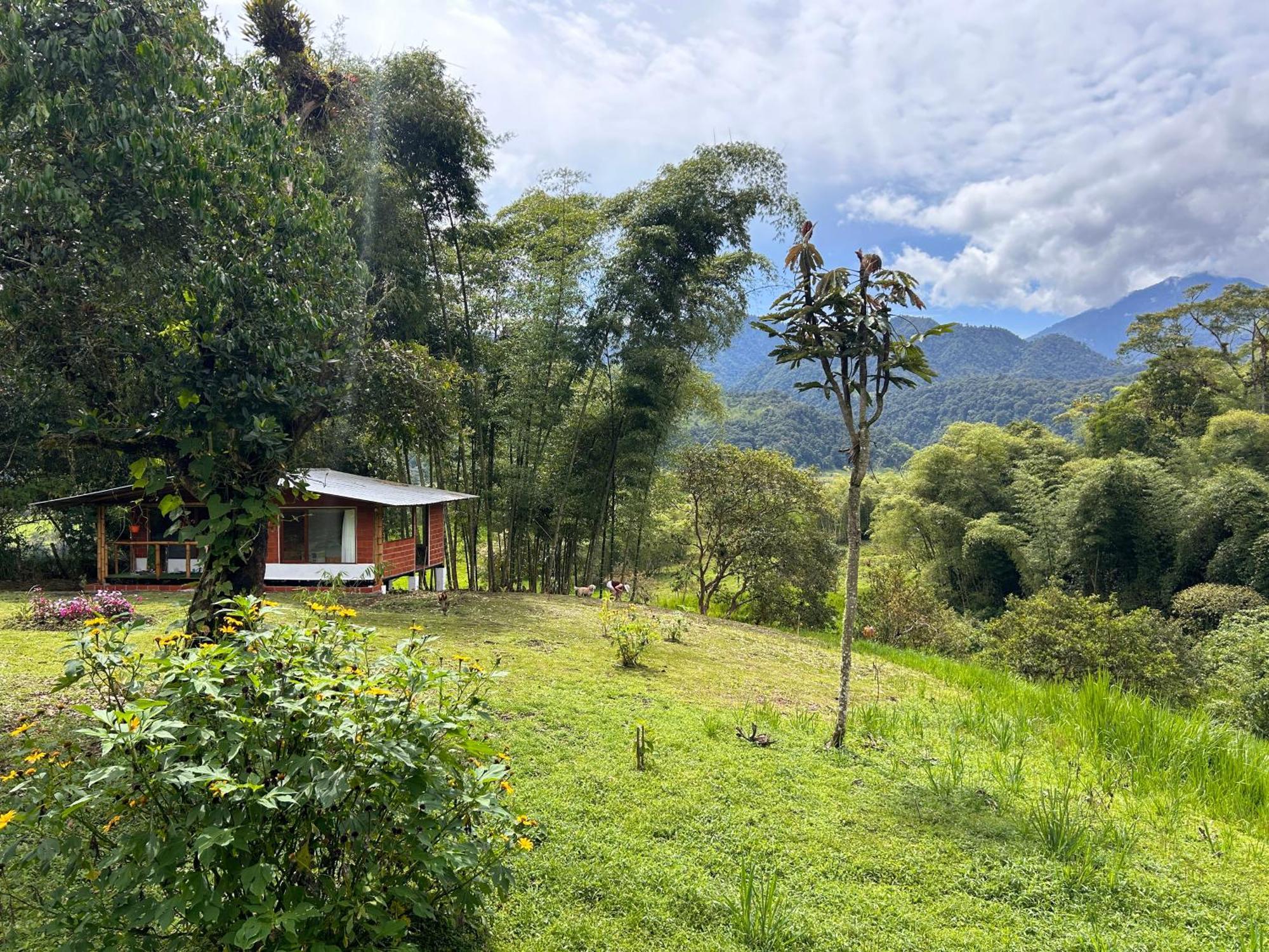 Green Bamboo Lodge San Francisco de Borja Exterior foto
