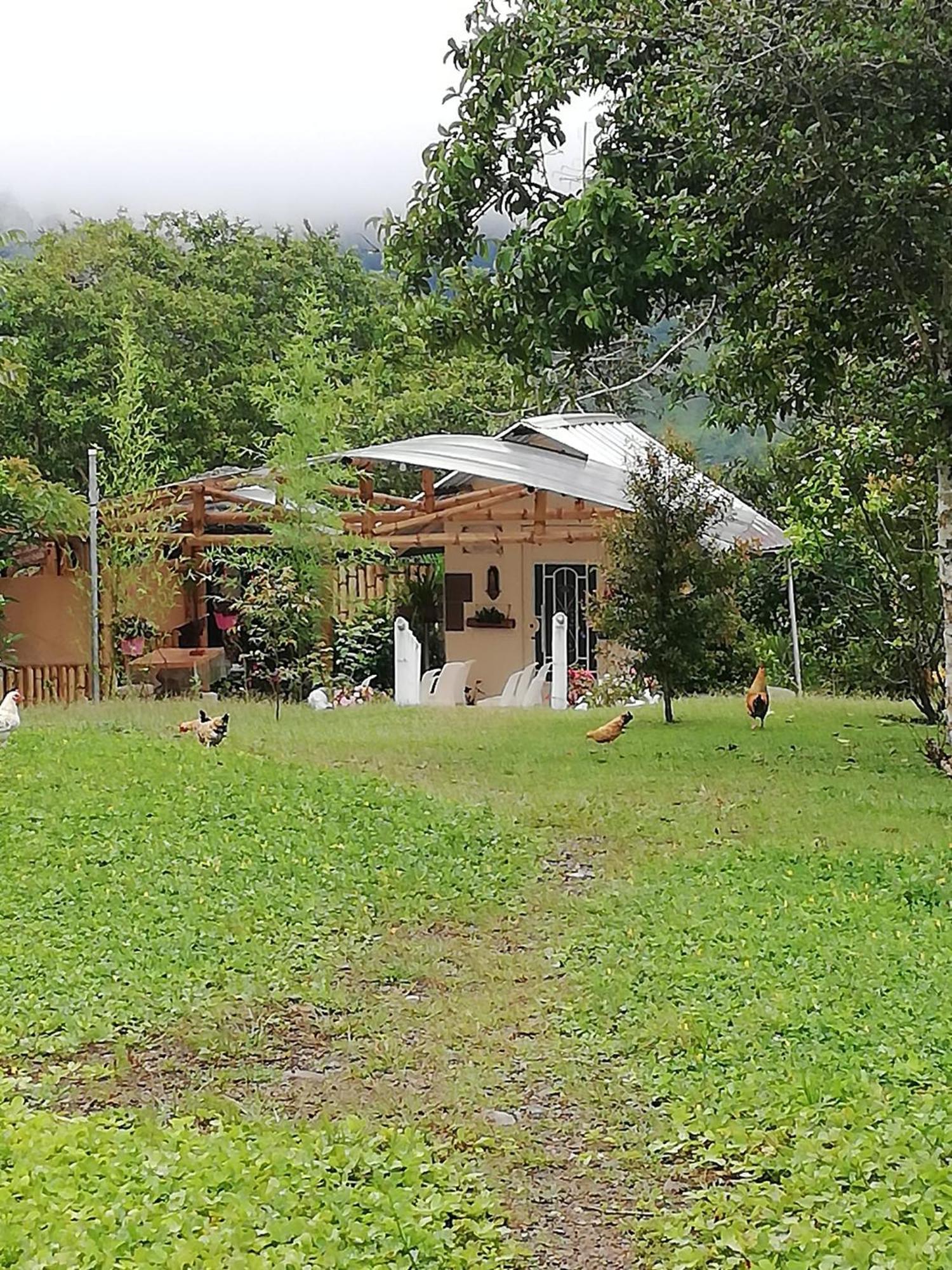 Green Bamboo Lodge San Francisco de Borja Exterior foto