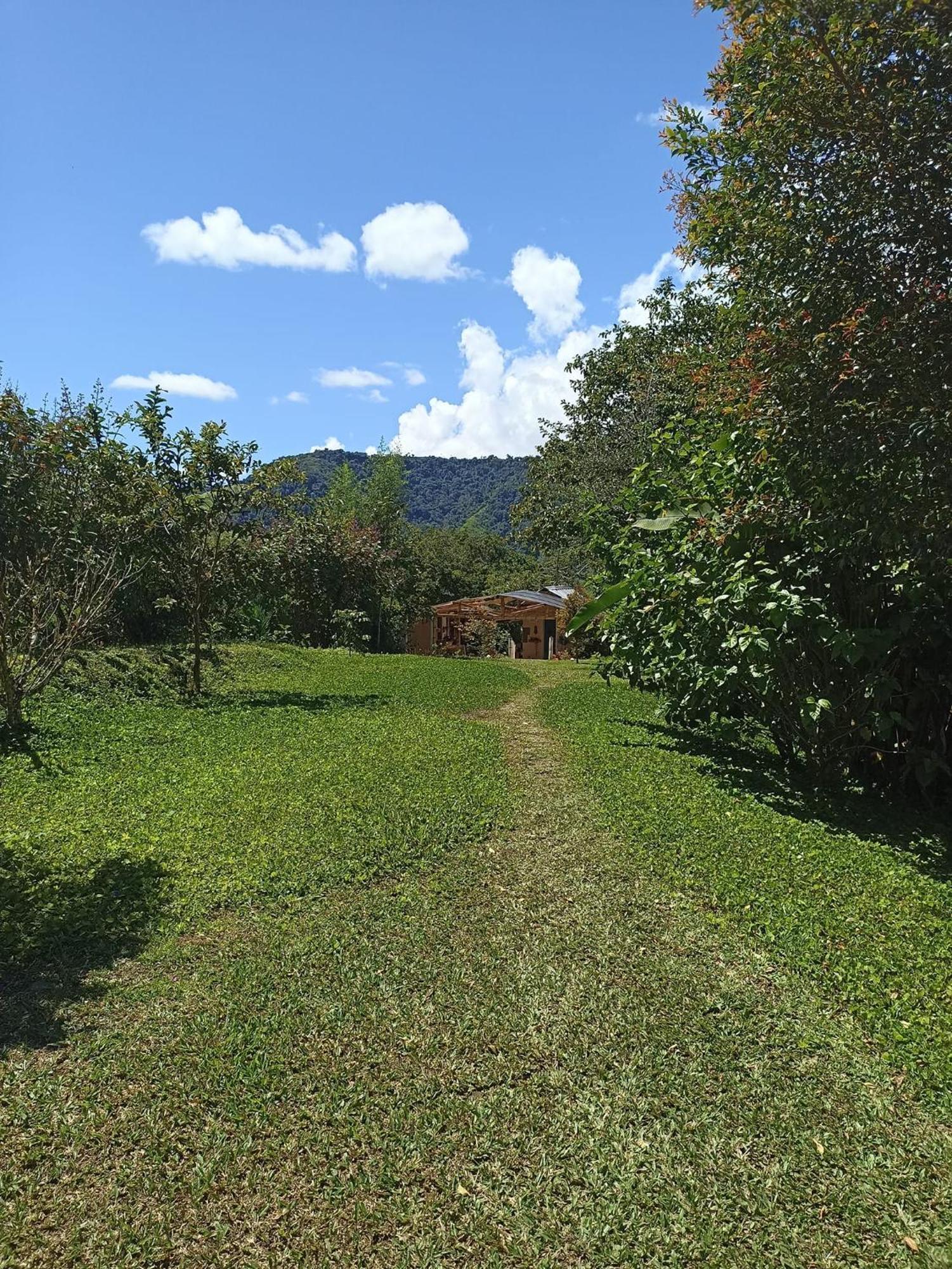 Green Bamboo Lodge San Francisco de Borja Exterior foto