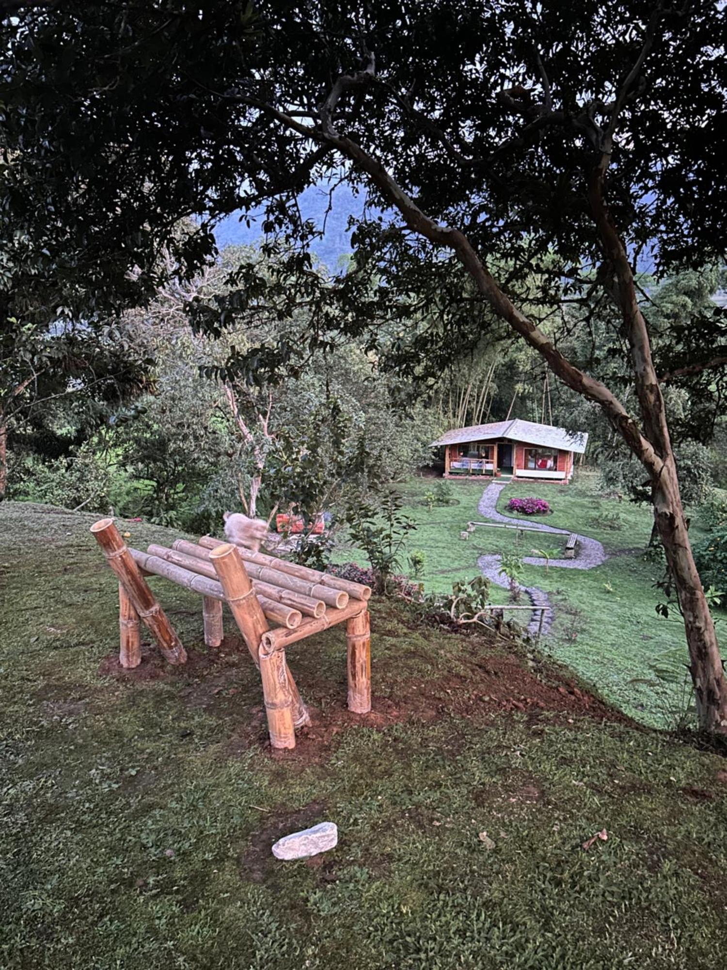 Green Bamboo Lodge San Francisco de Borja Exterior foto