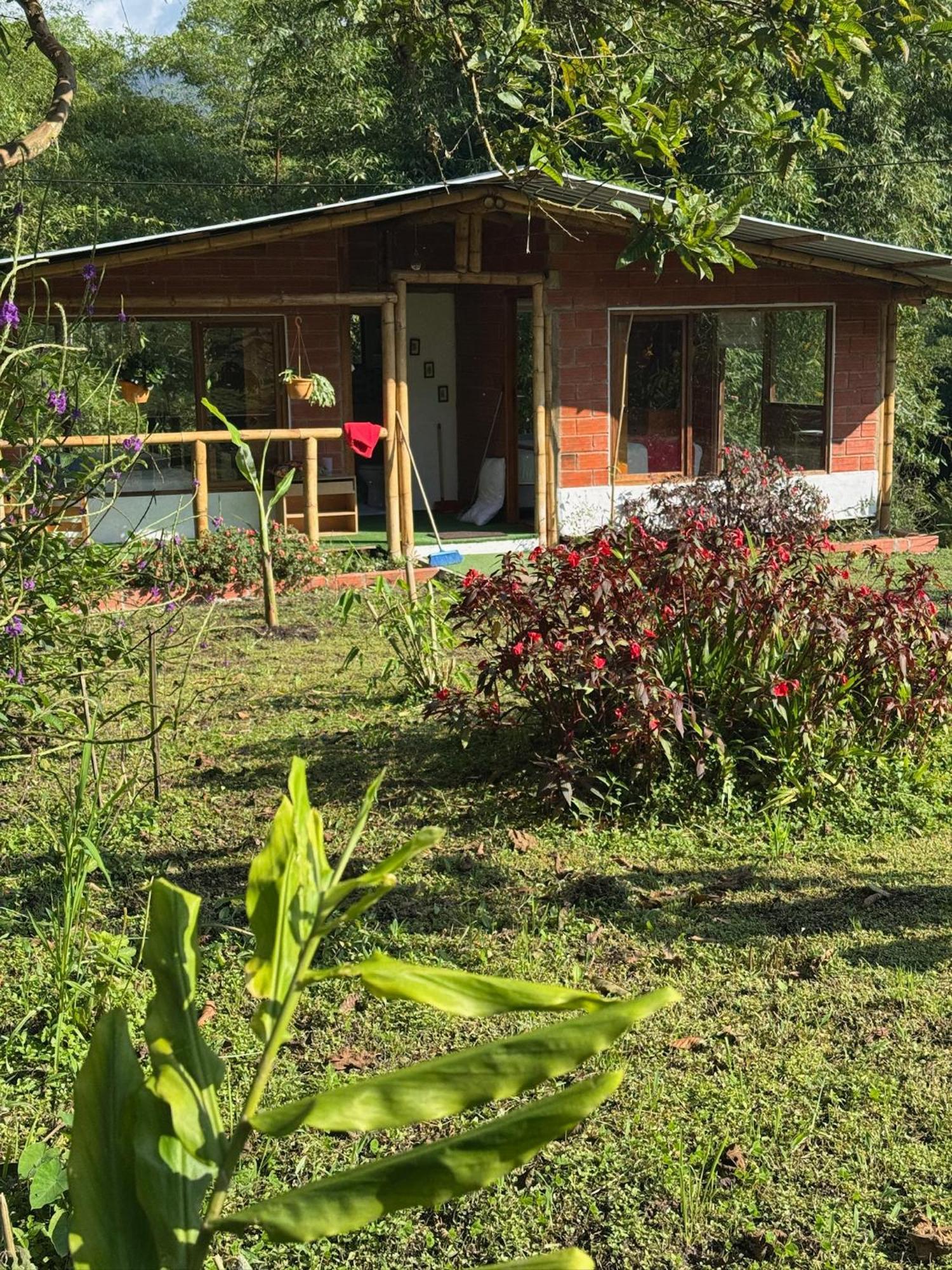 Green Bamboo Lodge San Francisco de Borja Exterior foto