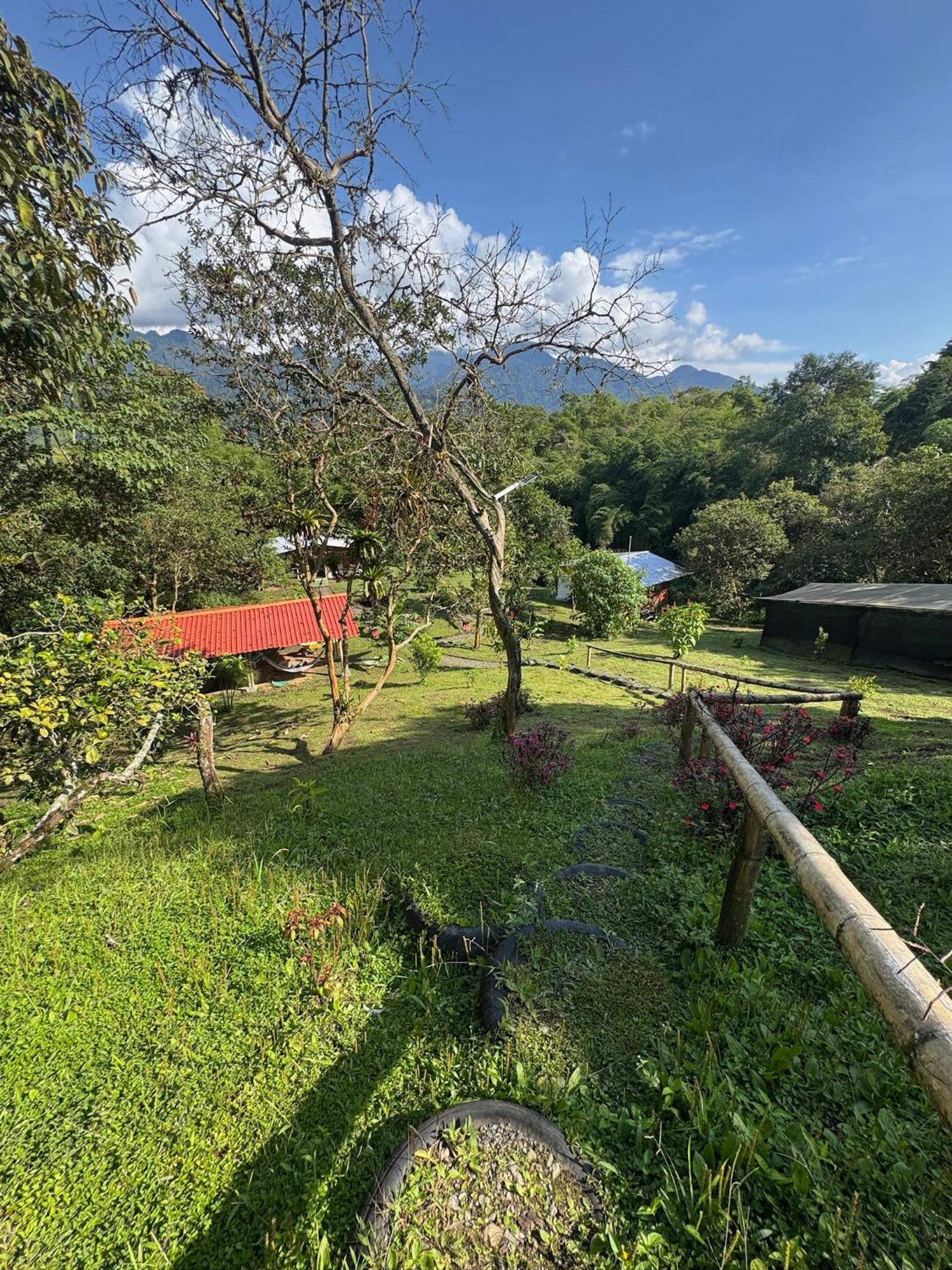 Green Bamboo Lodge San Francisco de Borja Exterior foto