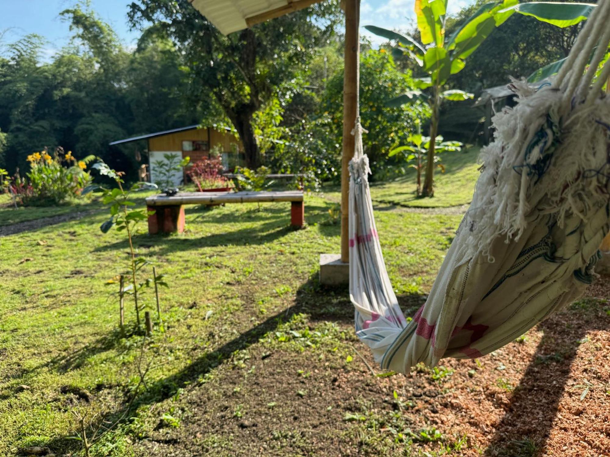 Green Bamboo Lodge San Francisco de Borja Exterior foto
