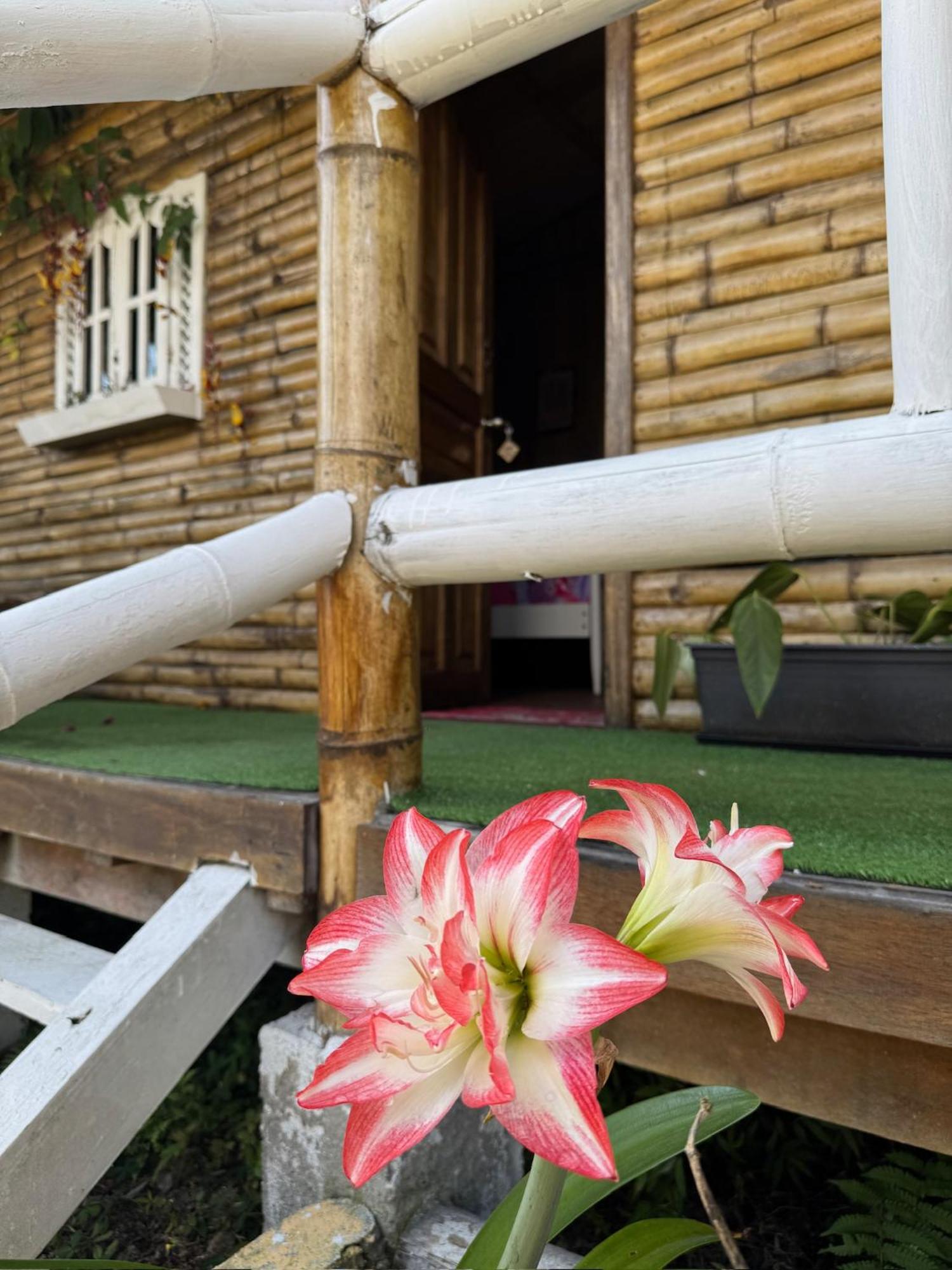 Green Bamboo Lodge San Francisco de Borja Exterior foto